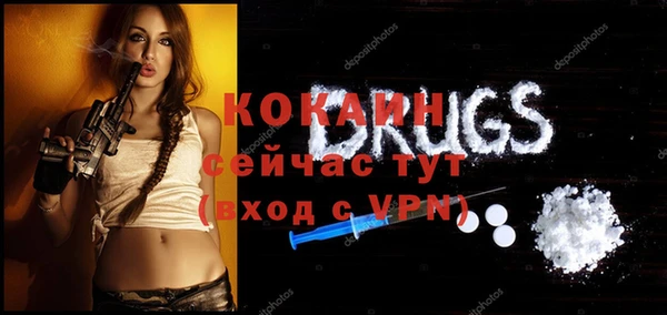 шишки Майский