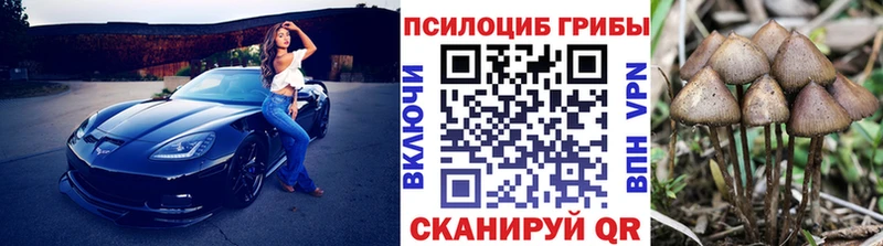 Псилоцибиновые грибы GOLDEN TEACHER  как найти закладки  Лабытнанги 
